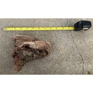 Ohio River Driftwood 6.5"x5.75"x4"